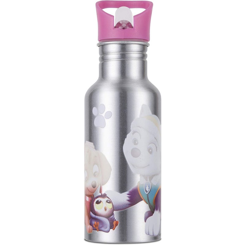 Nickelodeon Paw Patrol Colour Changing Aluminium Kids Water Bottle