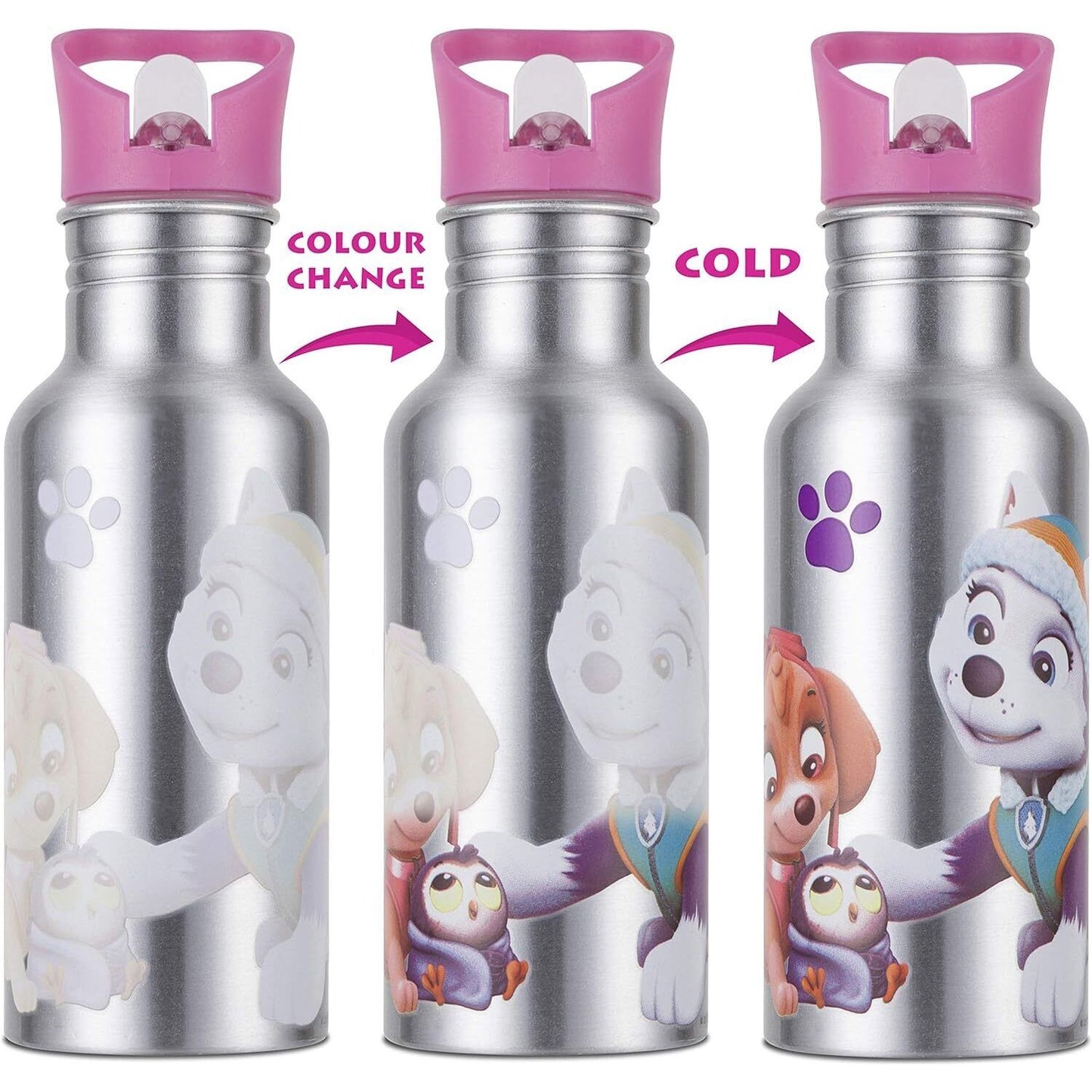 Nickelodeon Paw Patrol Colour Changing Aluminium Kids Water Bottle